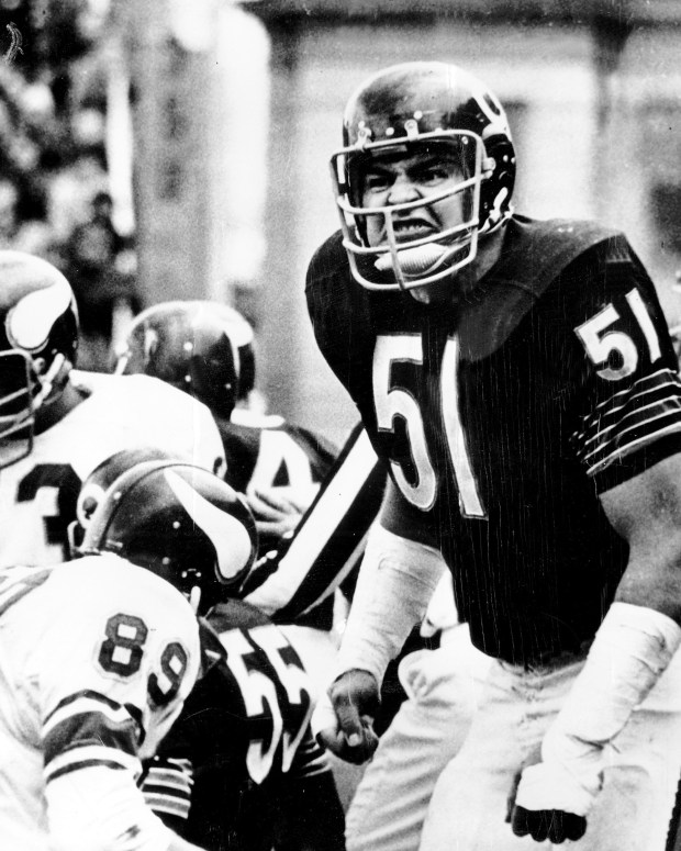 Chicago Bears linebacker Dick Butkus reacts during a game against the Minnesota Vikings in September 1969. Butkus  is arguably one of the best linebackers ever to play, possessing strength, agility and quickness to cover running backs and tight ends on the same play. He played for the Bears from 1965 to 1973, making seven Pro Bowl teams, collecting 22 interceptions and recovering 27 fumbles. He was elected to the Hall of Fame in 1979, his first year of eligibility. (Steve Lasker/Chicago Today)